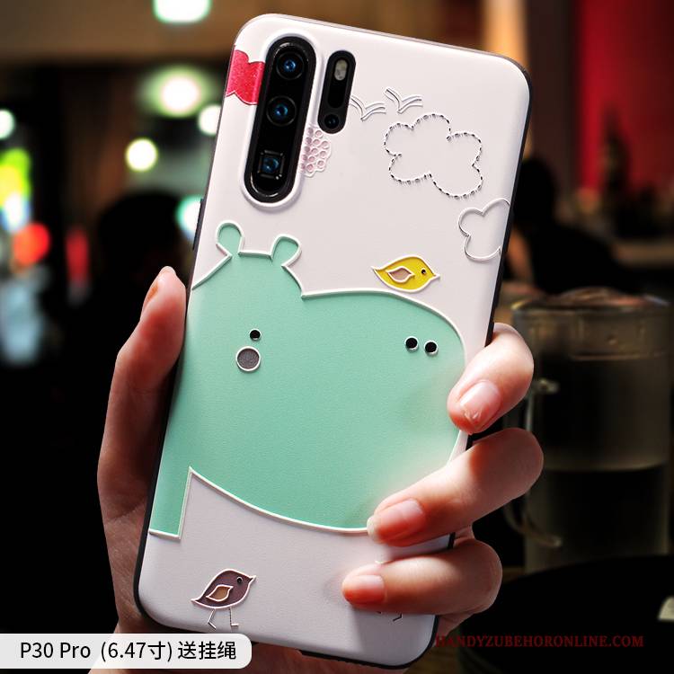Hülle Huawei P30 Pro Weiche Anti-sturz Nette, Case Huawei P30 Pro Taschen Persönlichkeit Trendmarke