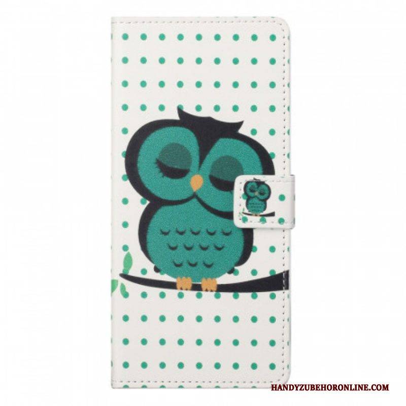 Flip Case Für OnePlus Nord CE 2 5G Schlafender Vogel