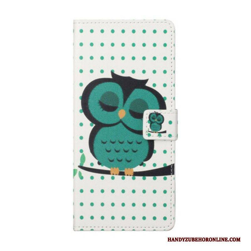 Flip Case Für Samsung Galaxy S21 FE Schlafende Eule