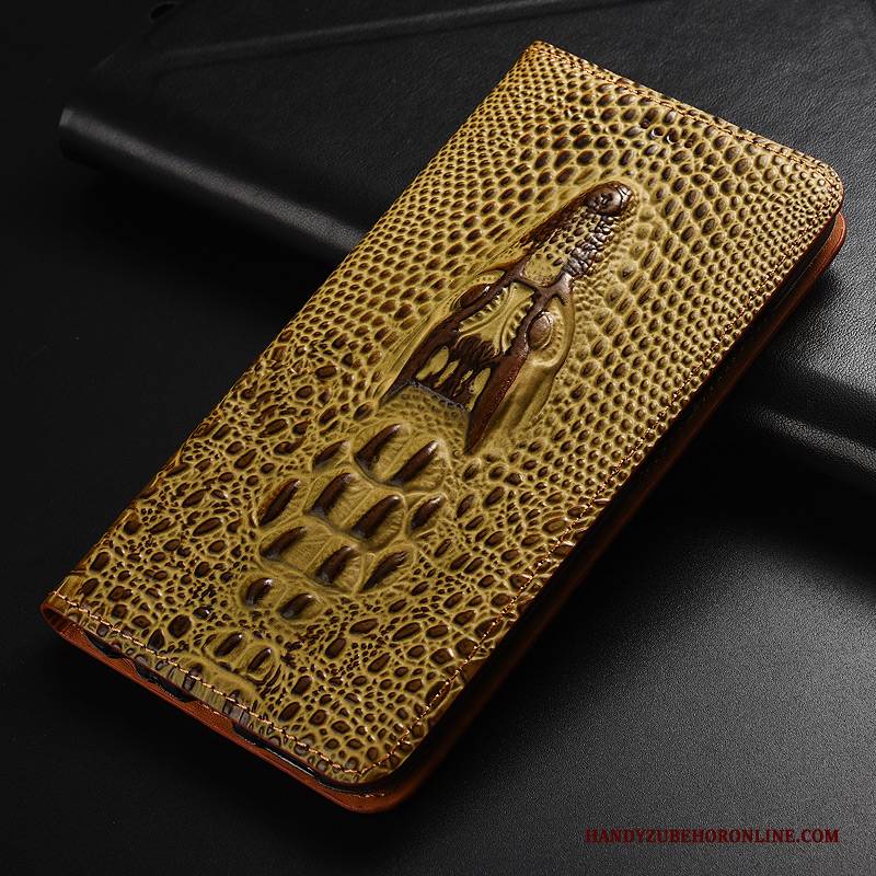 Hülle Samsung Galaxy A40 Schutz Jeden Tag Drachen, Case Samsung Galaxy A40 Taschen Krokodilmuster Anti-sturz